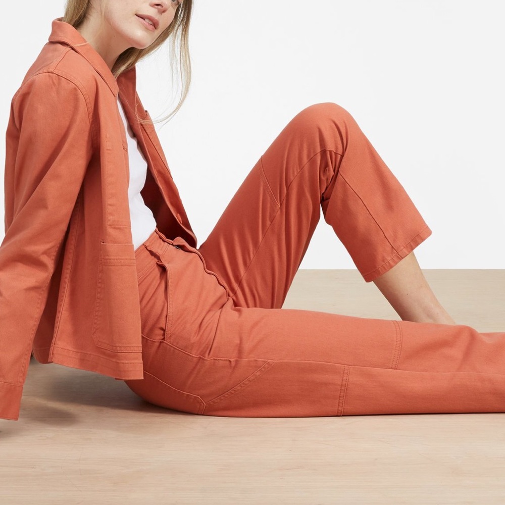 EVERLANE Spanish Clay Carpenter Pants Plus Size